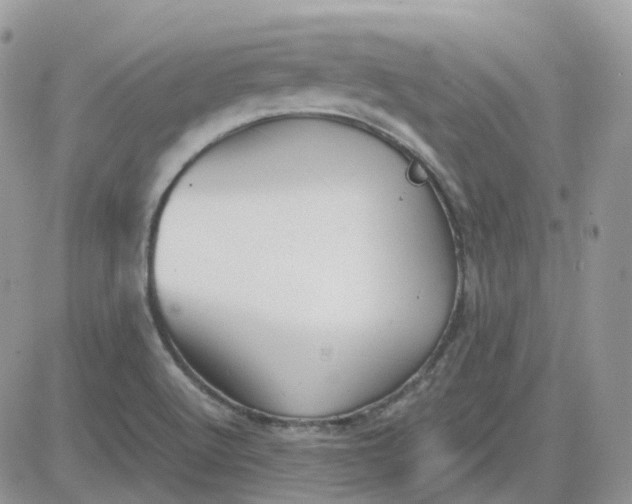 X0000081571512200701291202