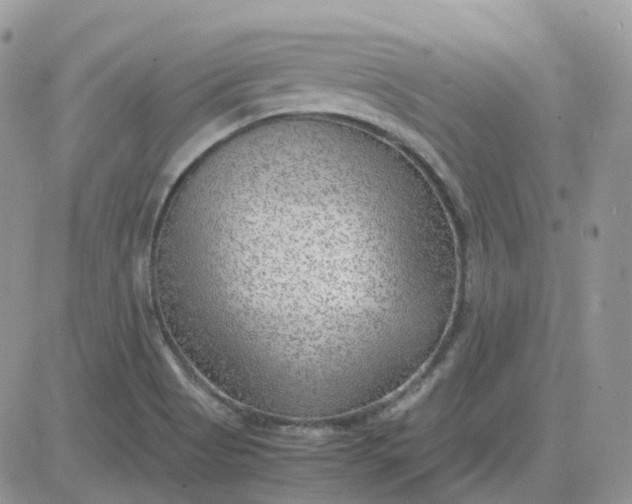 X0000081571513200701291202