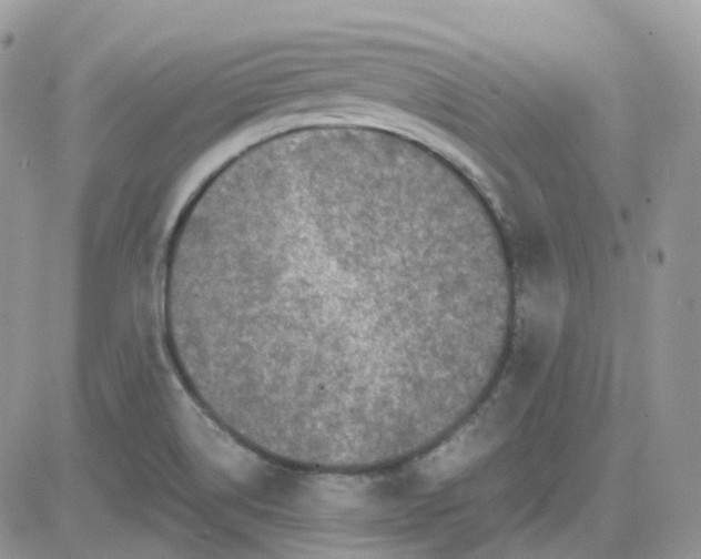 X0000081571514200701291202