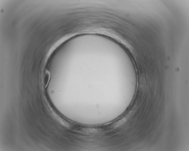 X0000081571517200701291202