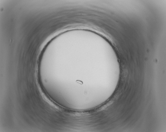 X0000081571518200701291202