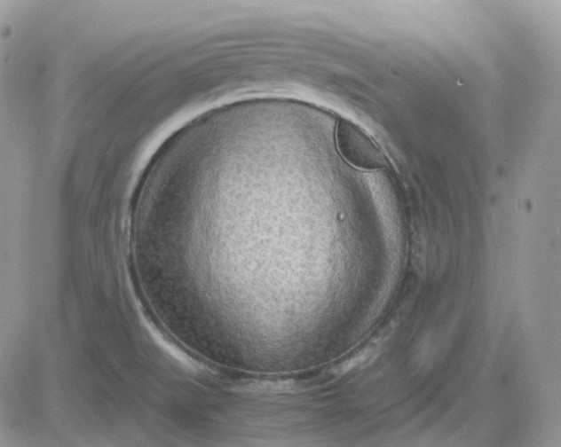 X0000081571519200701291202