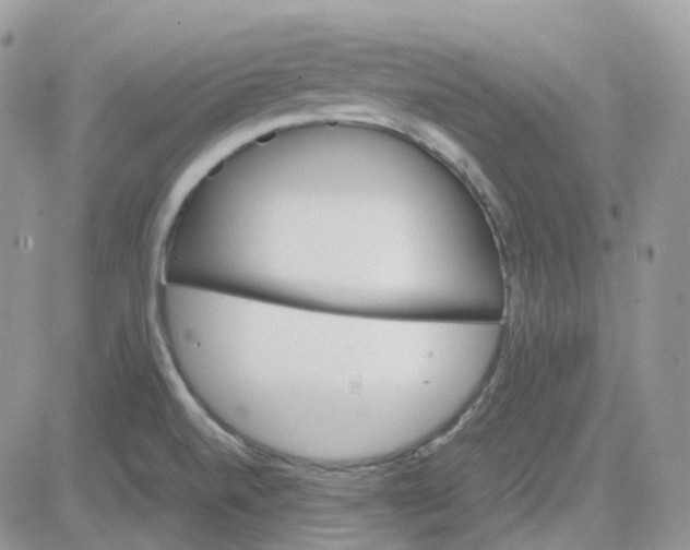 X0000081571520200701291202