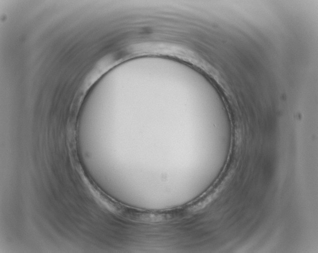 X0000081571521200701291202