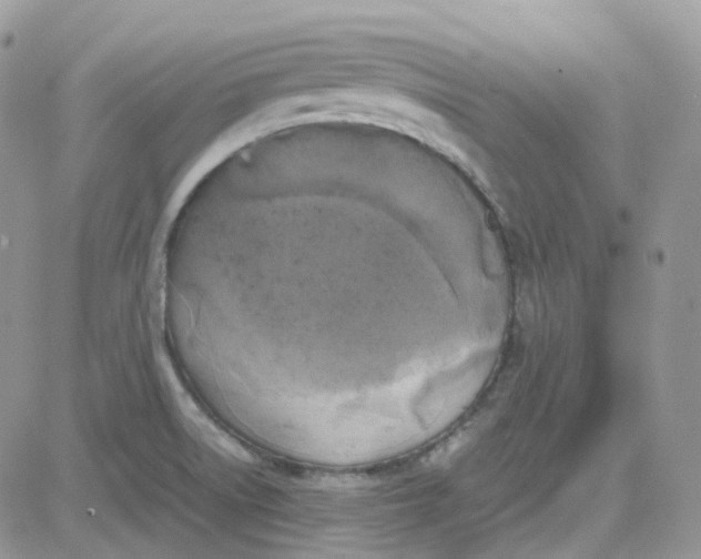 X0000081571522200701291202