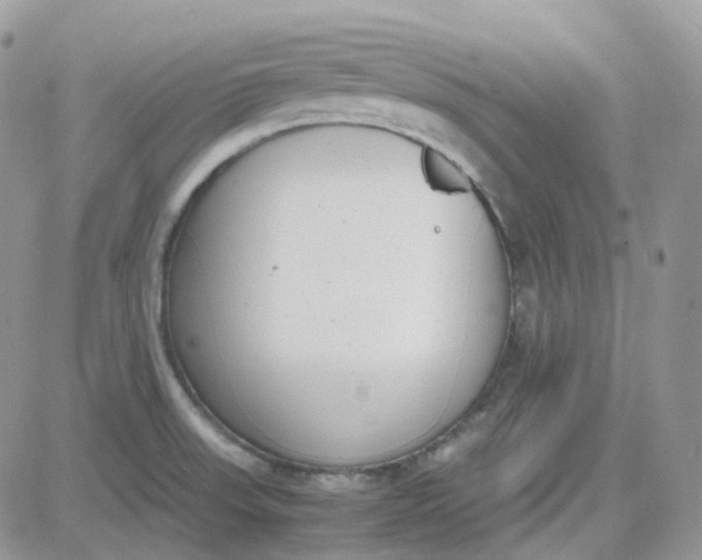 X0000081571523200701291202