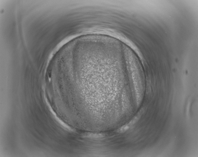 X0000081571525200701291202