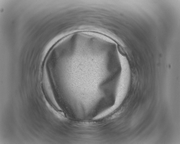 X0000081571527200701291202