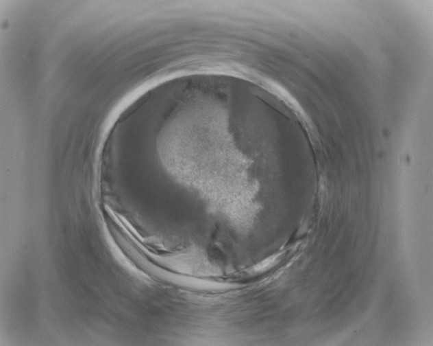 X0000081571528200701291202