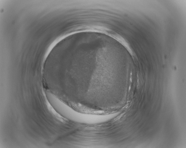 X0000081571532200701291202