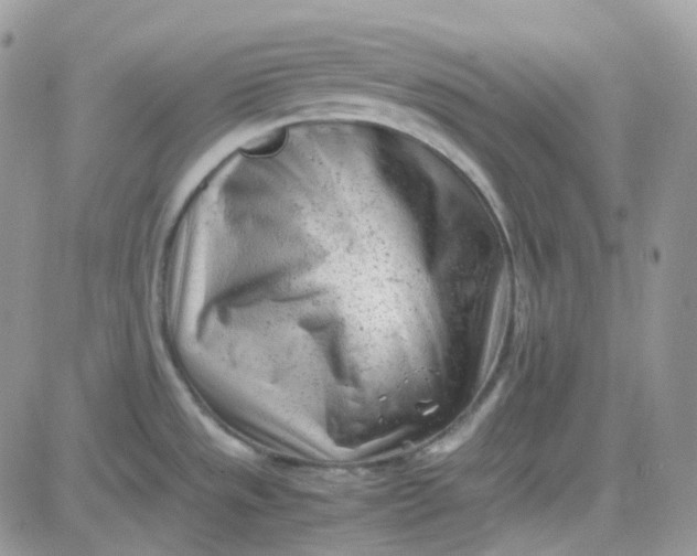 X0000081571533200701291202