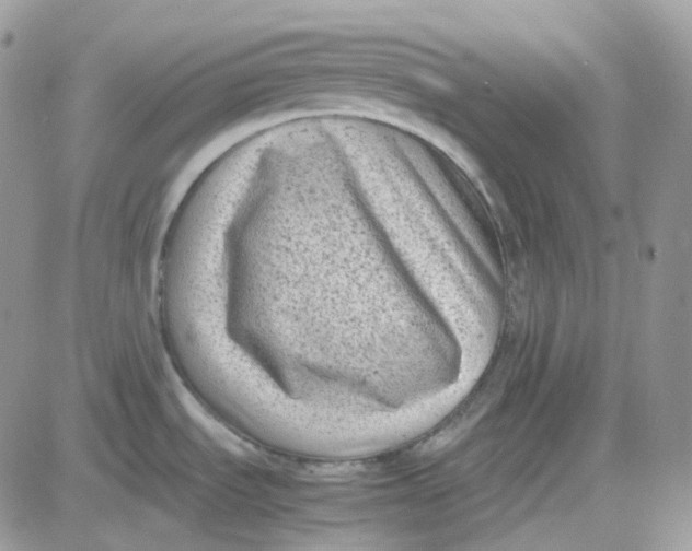 X0000081571535200701291202