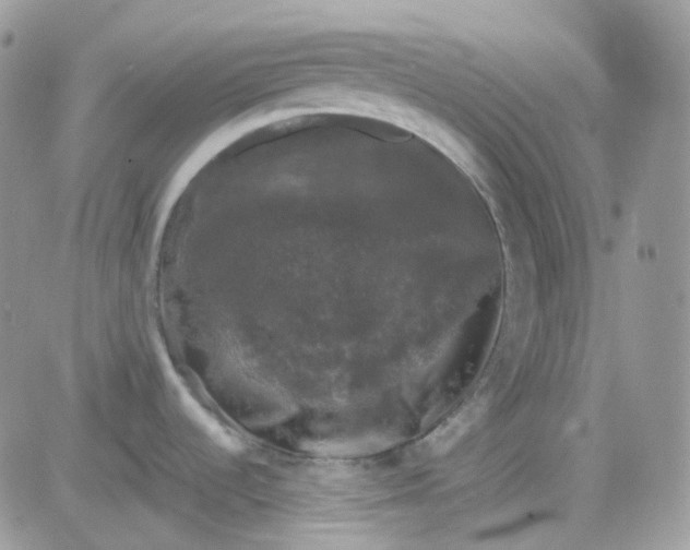 X0000081571536200701291202