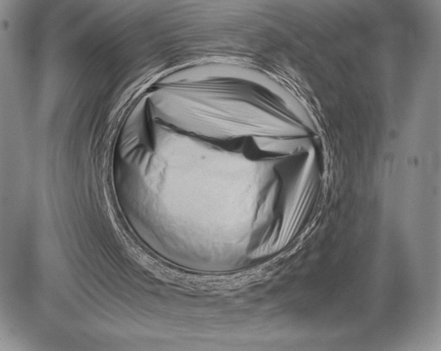 X0000081570001200702051226