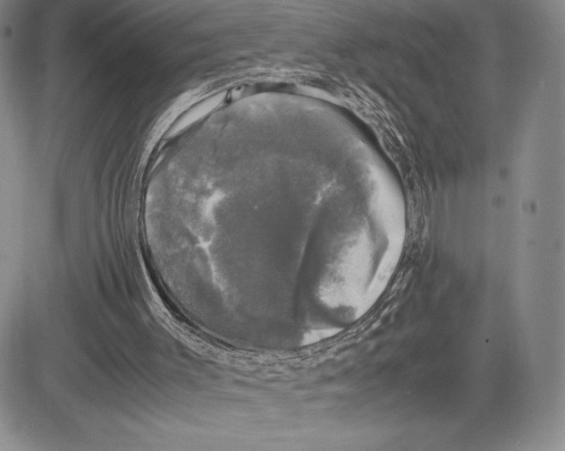 X0000081570003200702051226