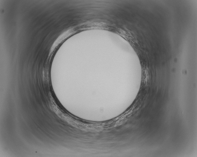 X0000081570004200702051226