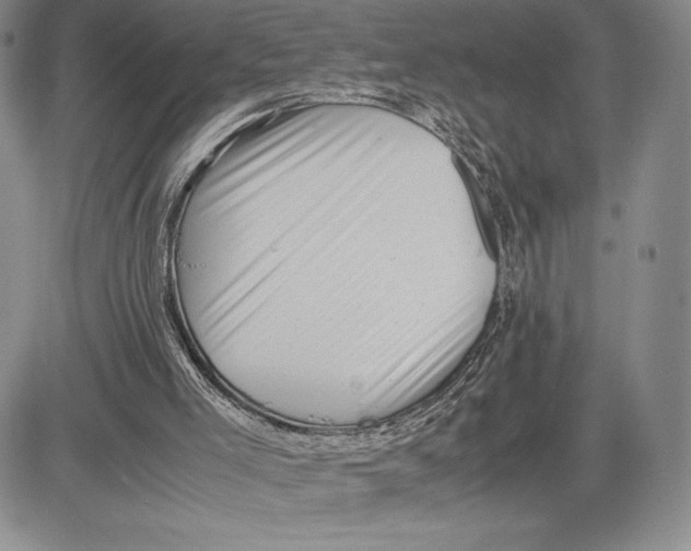 X0000081570005200702051226