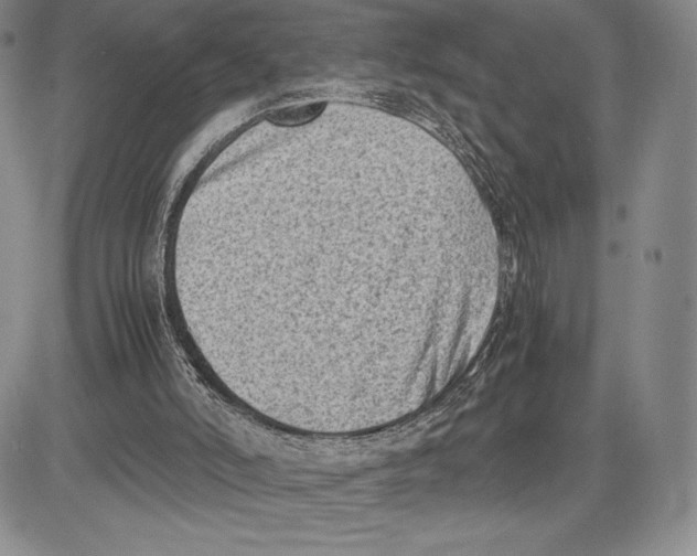 X0000081570006200702051226