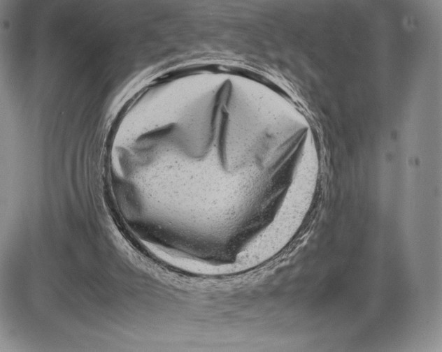 X0000081570007200702051226