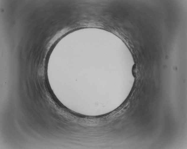 X0000081570008200702051226