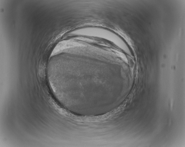 X0000081570009200702051226