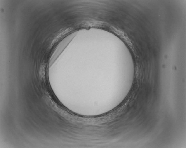 X0000081570010200702051226