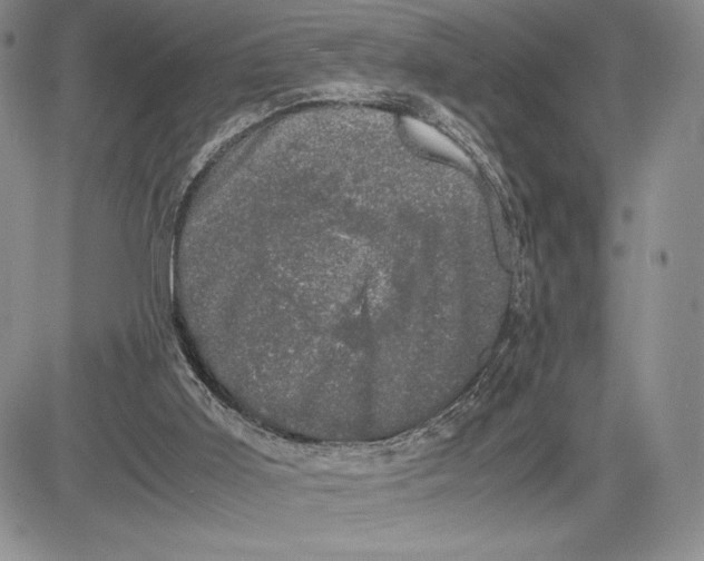 X0000081570011200702051226