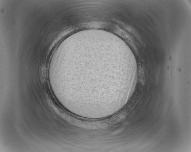 X0000081570012200702051226