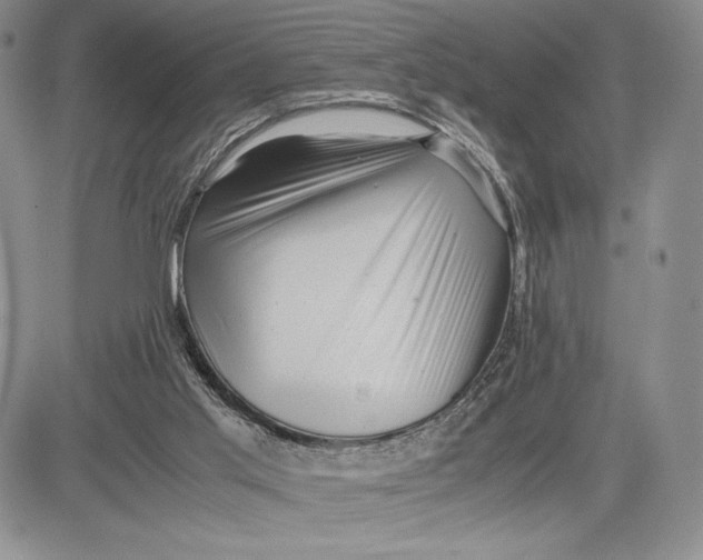 X0000081570013200702051225