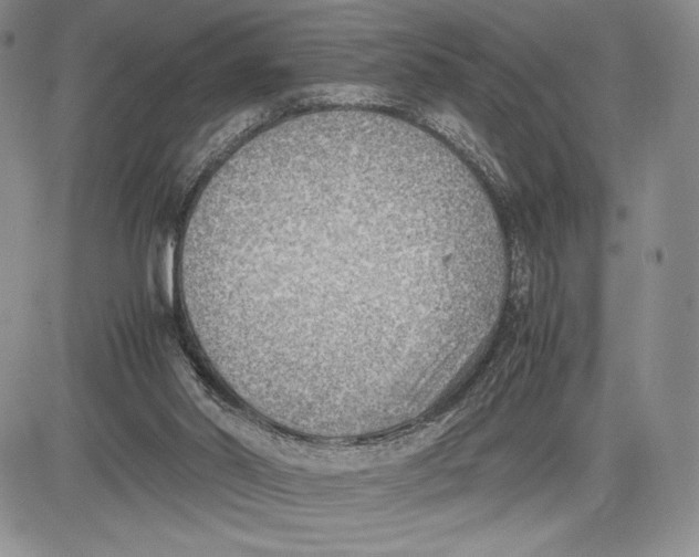 X0000081570014200702051225