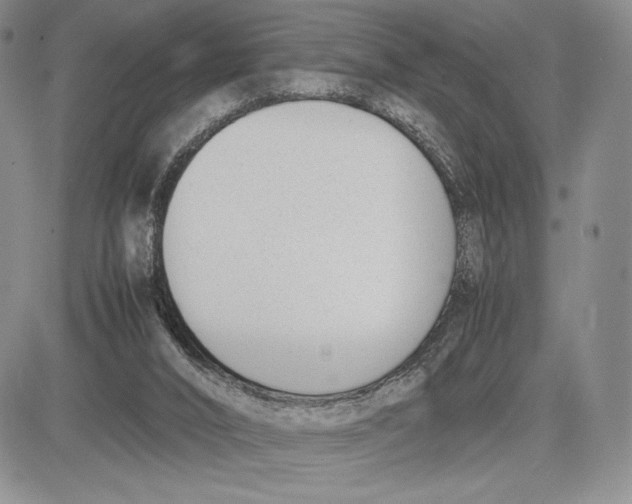 X0000081570016200702051225