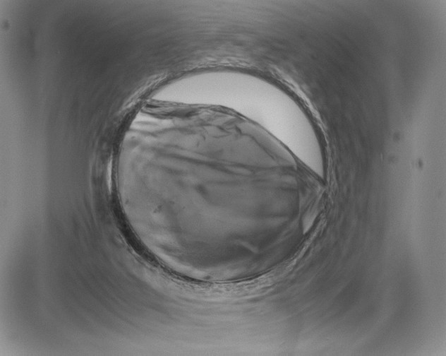 X0000081570019200702051225