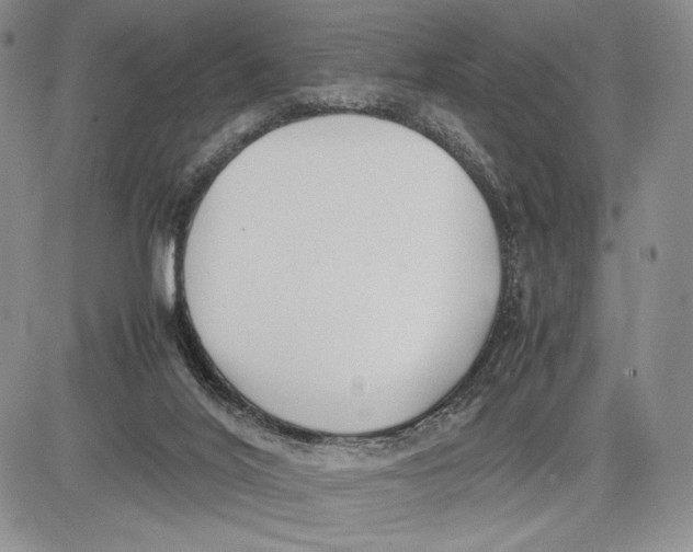 X0000081570020200702051225