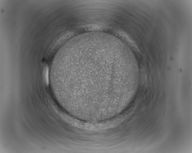 X0000081570022200702051225