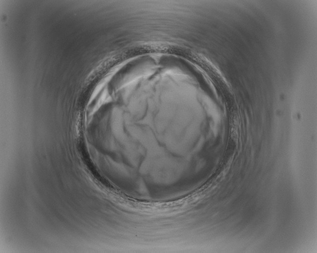 X0000081570023200702051225