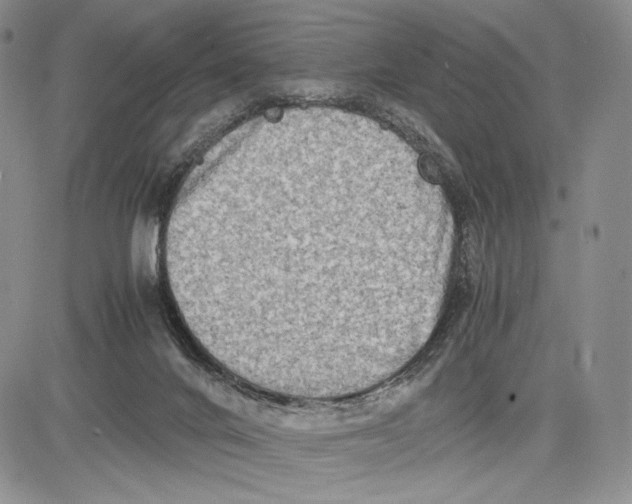 X0000081570024200702051225