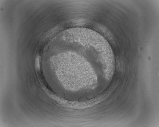 X0000081570026200702051225