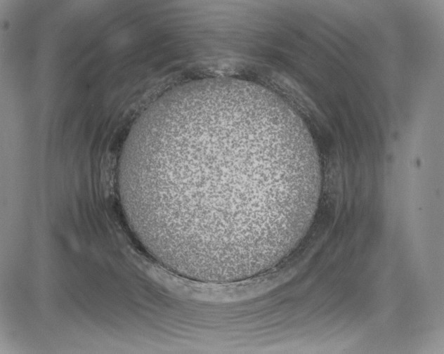 X0000081570030200702051225