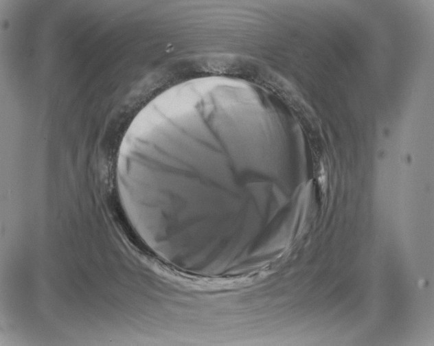 X0000081570031200702051225