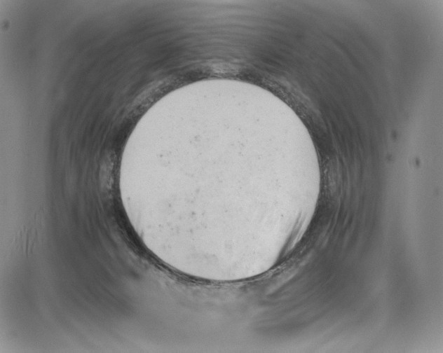 X0000081570032200702051225