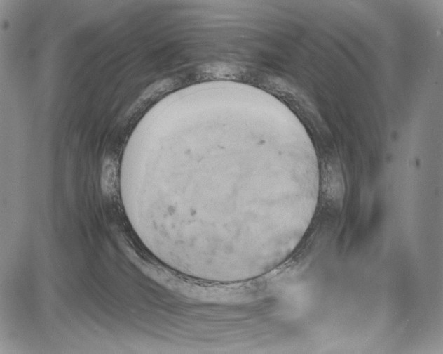 X0000081570036200702051225