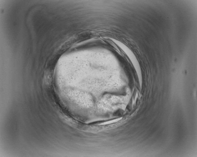 X0000081570037200702051225