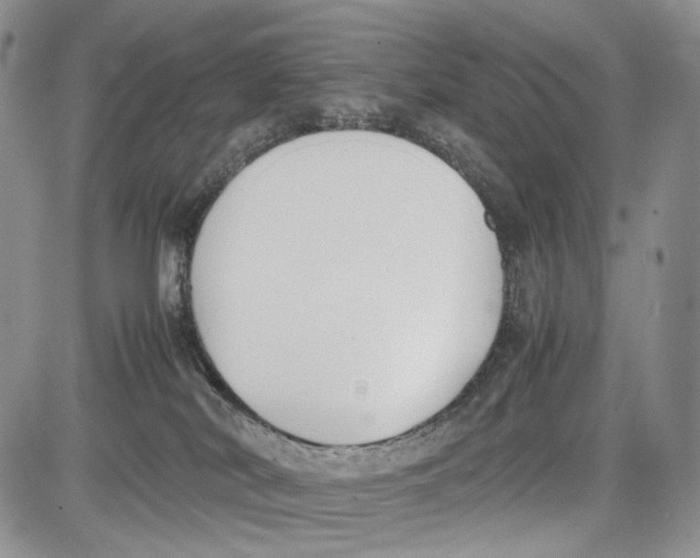 X0000081570038200702051225