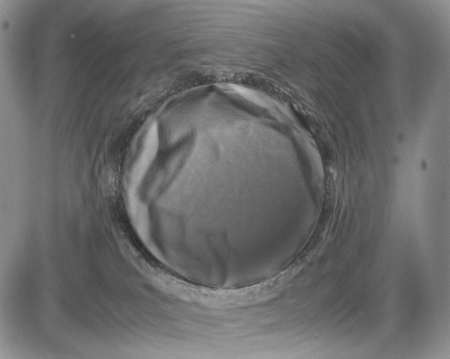 X0000081570039200702051225