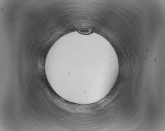 X0000081570040200702051225