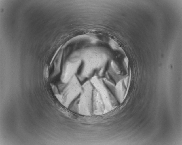 X0000081570041200702051225