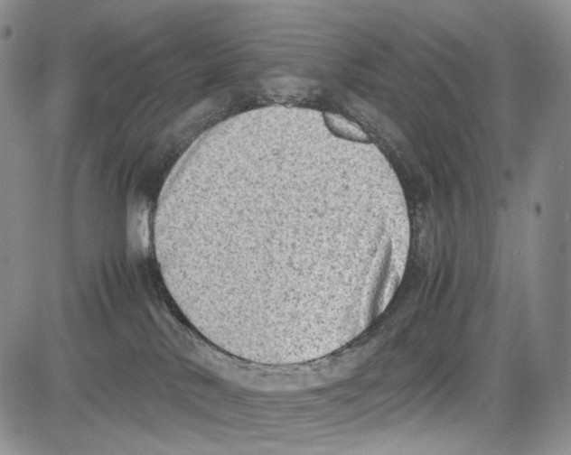 X0000081570042200702051225