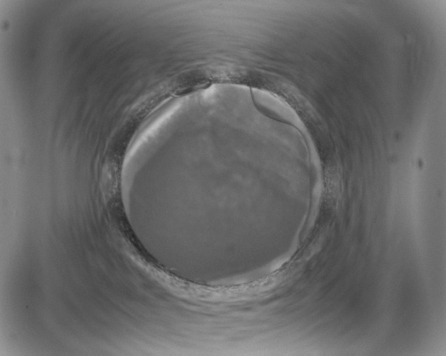 X0000081570043200702051225