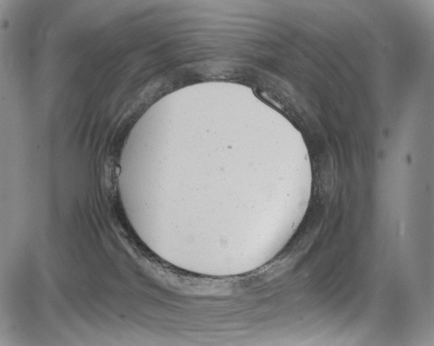 X0000081570044200702051225