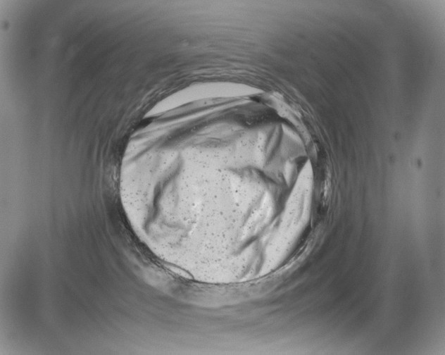 X0000081570045200702051225